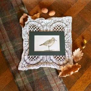 Bécasse – collection « Animaux d’automne »