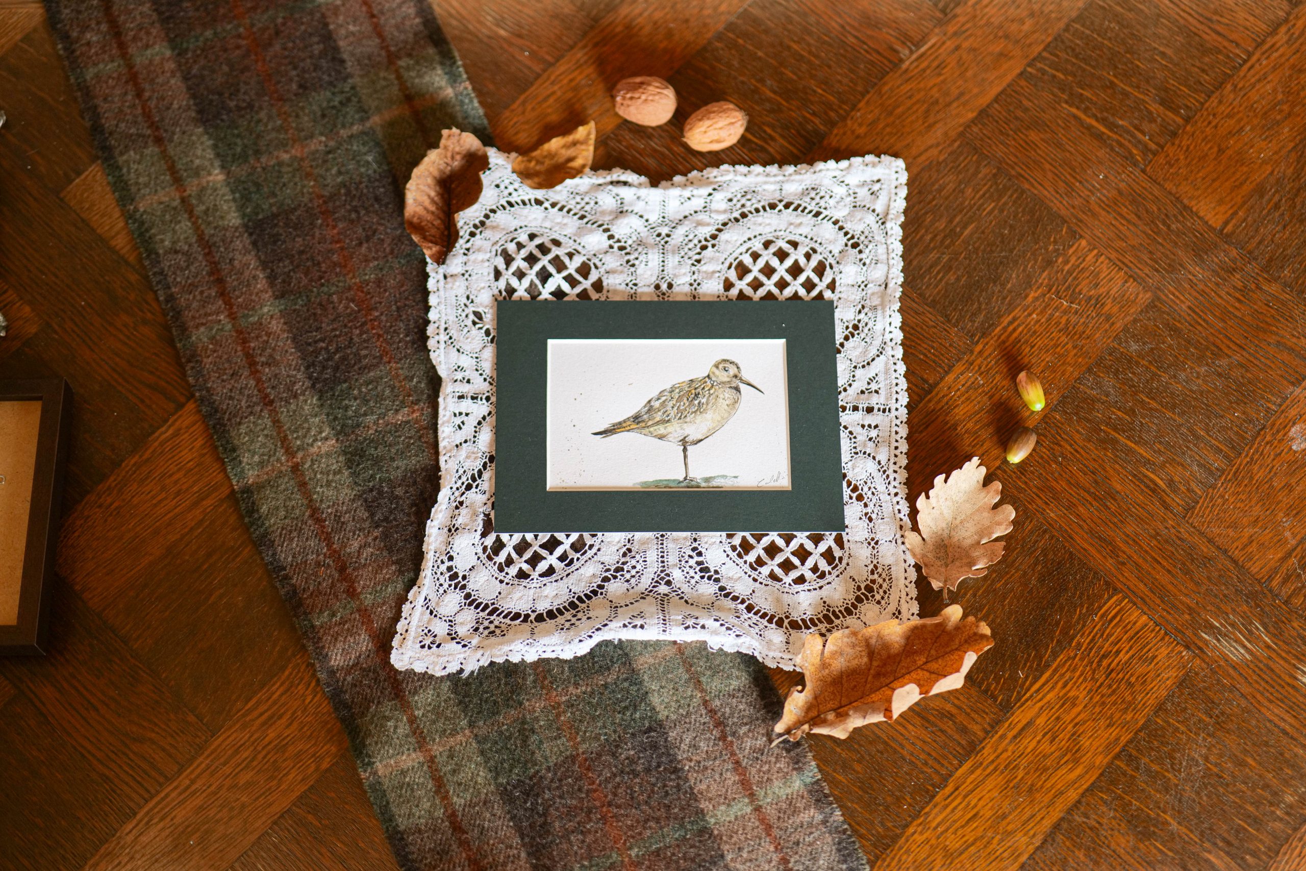 Bécasse - collection "Animaux d'automne"