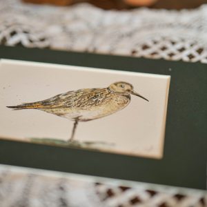 Bécasse – collection « Animaux d’automne »