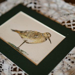 Bécasse – collection « Animaux d’automne »