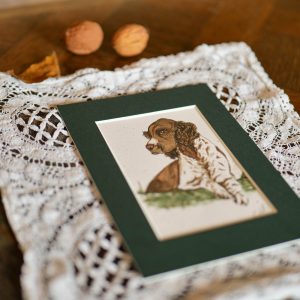 Épagneul – collection « Animaux d’automne »