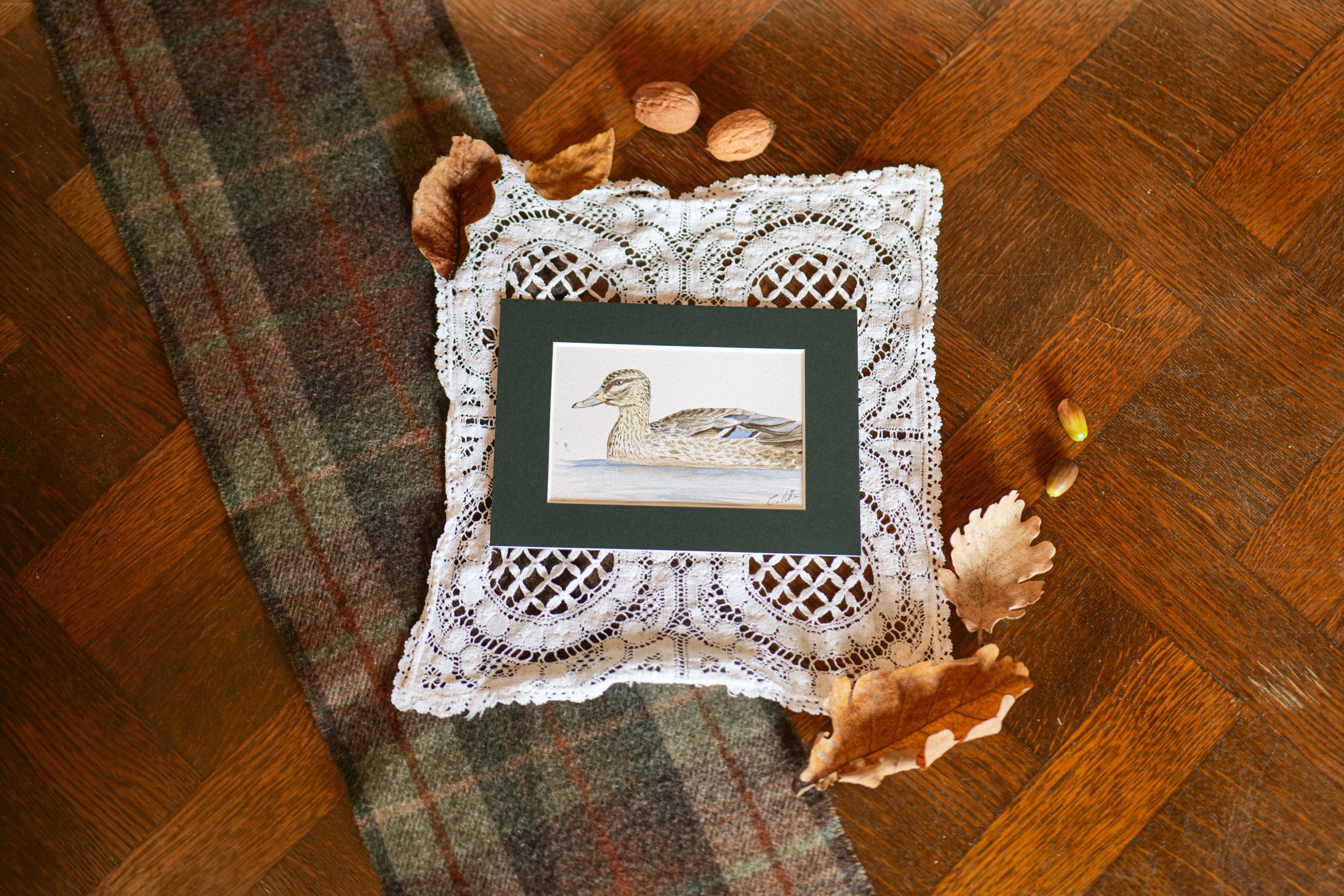 Canard - collection "Animaux d'automne"