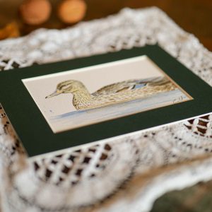 Canard – collection « Animaux d’automne »