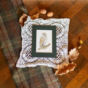 Chouette – collection « Animaux d’automne »