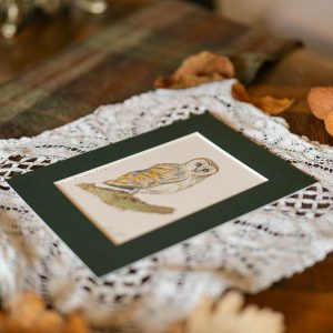 Chouette – collection « Animaux d’automne »