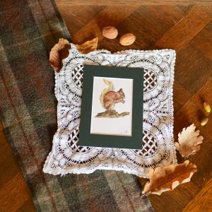 Écureuil – collection « Animaux d’automne »