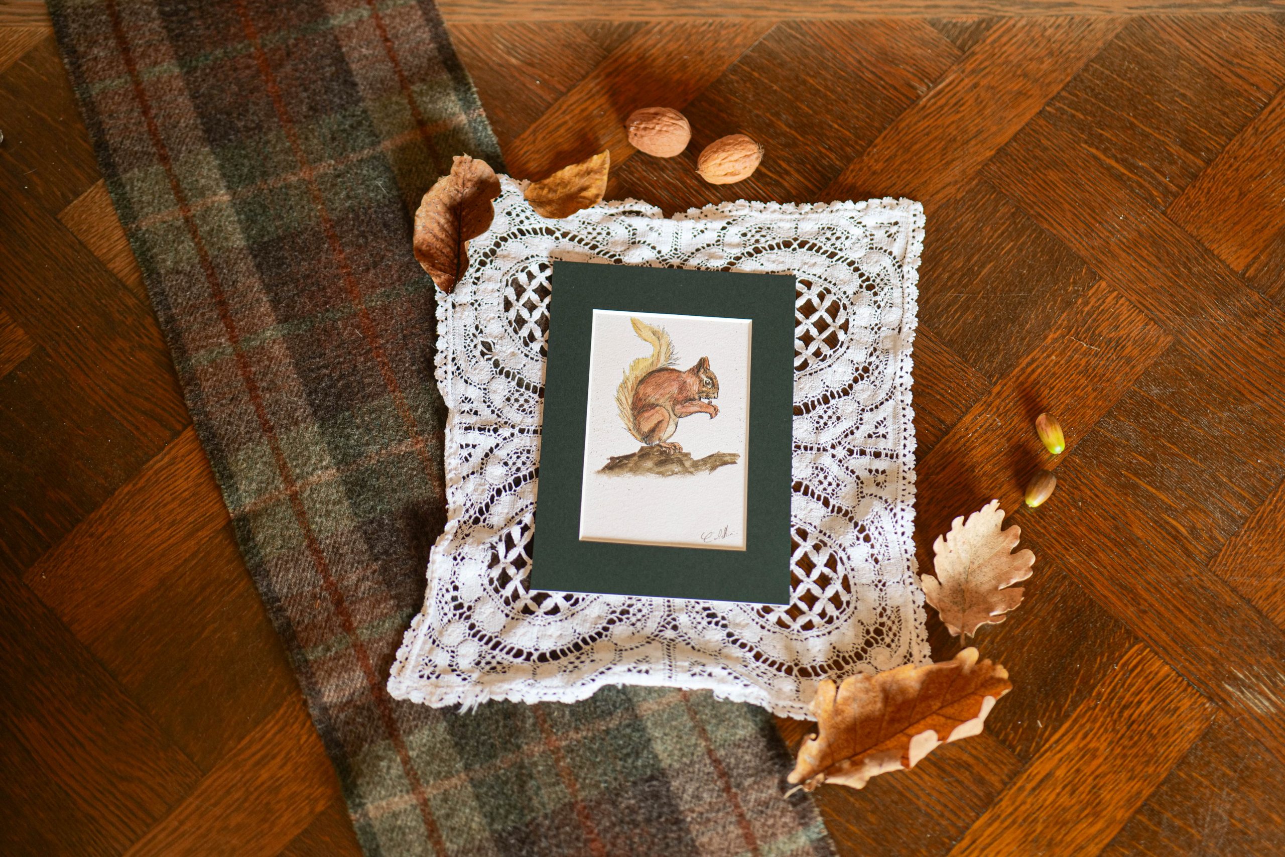 Écureuil - collection "Animaux d'automne"