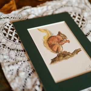 Écureuil – collection « Animaux d’automne »