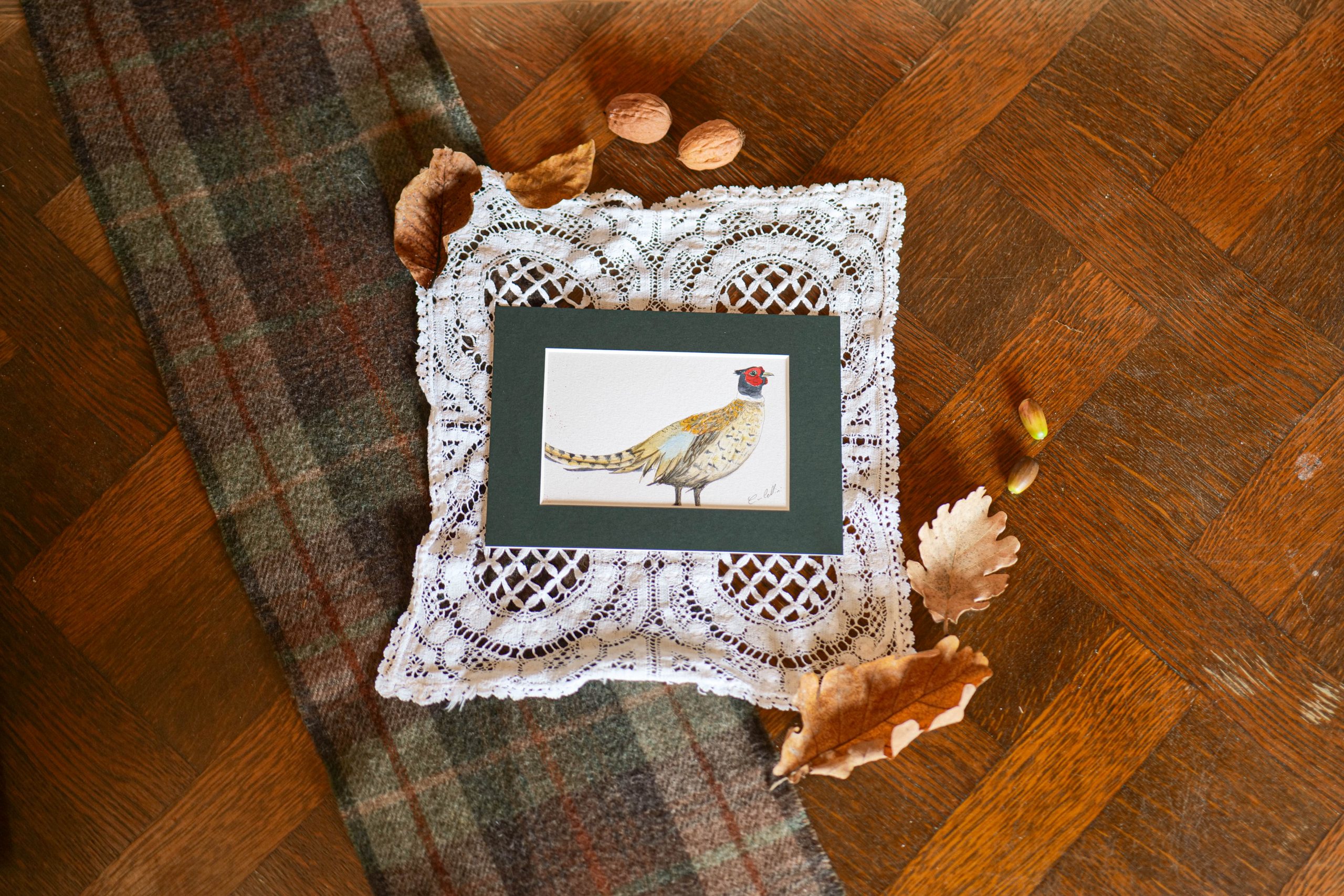 Faisan - collection "Animaux d'automne"