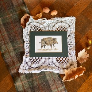 Sanglier – collection « Animaux d’automne »