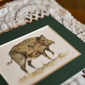 Sanglier – collection « Animaux d’automne »