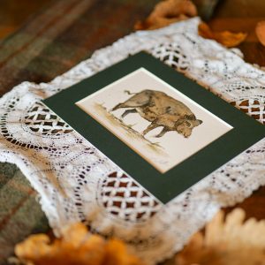 Sanglier – collection « Animaux d’automne »