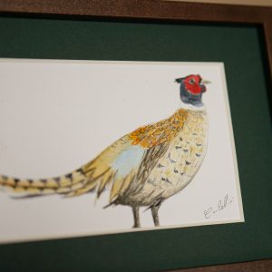 Faisan – collection « Animaux d’automne »