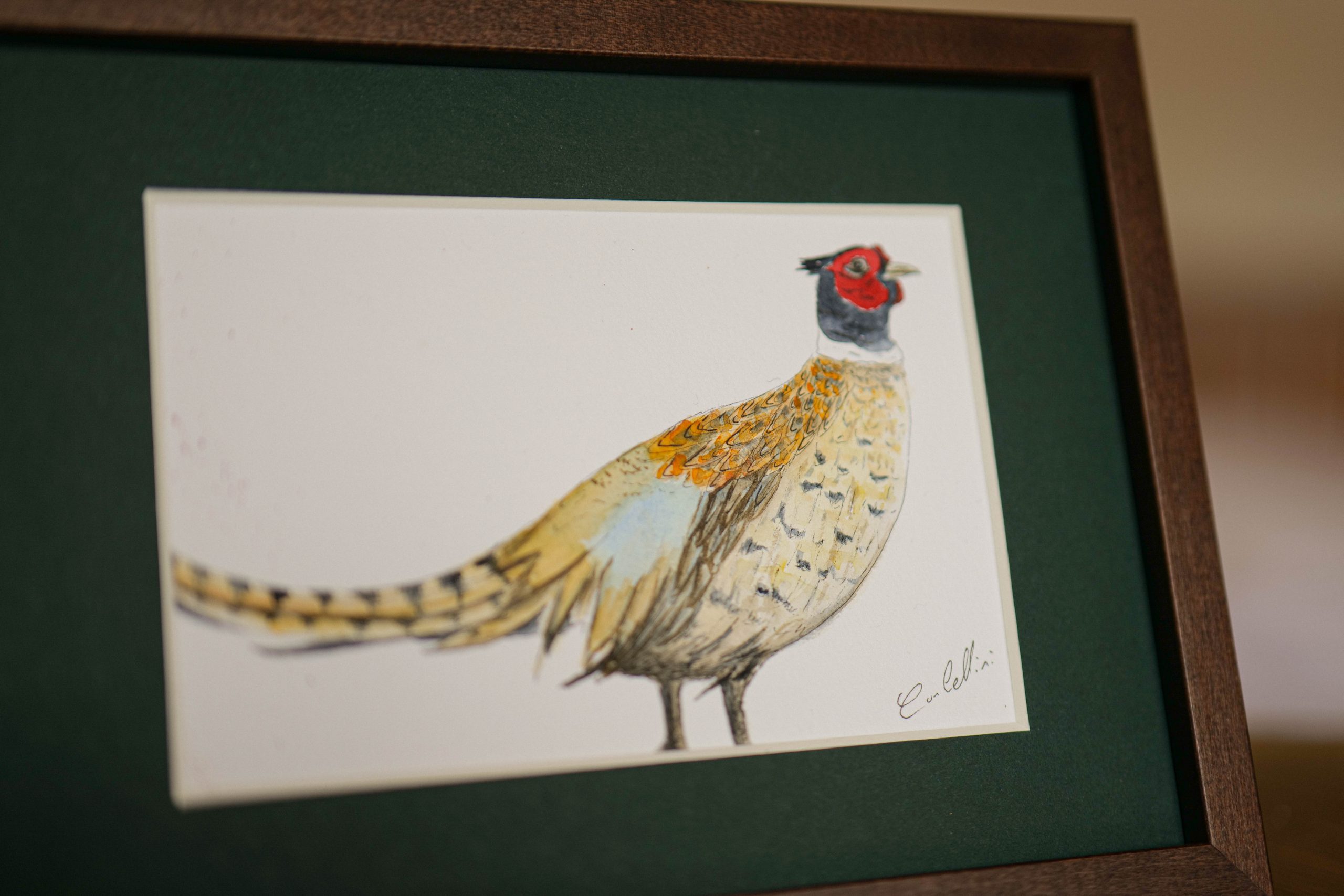 Faisan - collection "Animaux d'automne" – Image 3