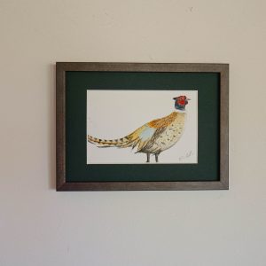 Faisan – collection « Animaux d’automne »