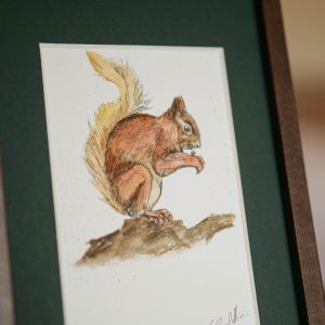 Écureuil – collection « Animaux d’automne »
