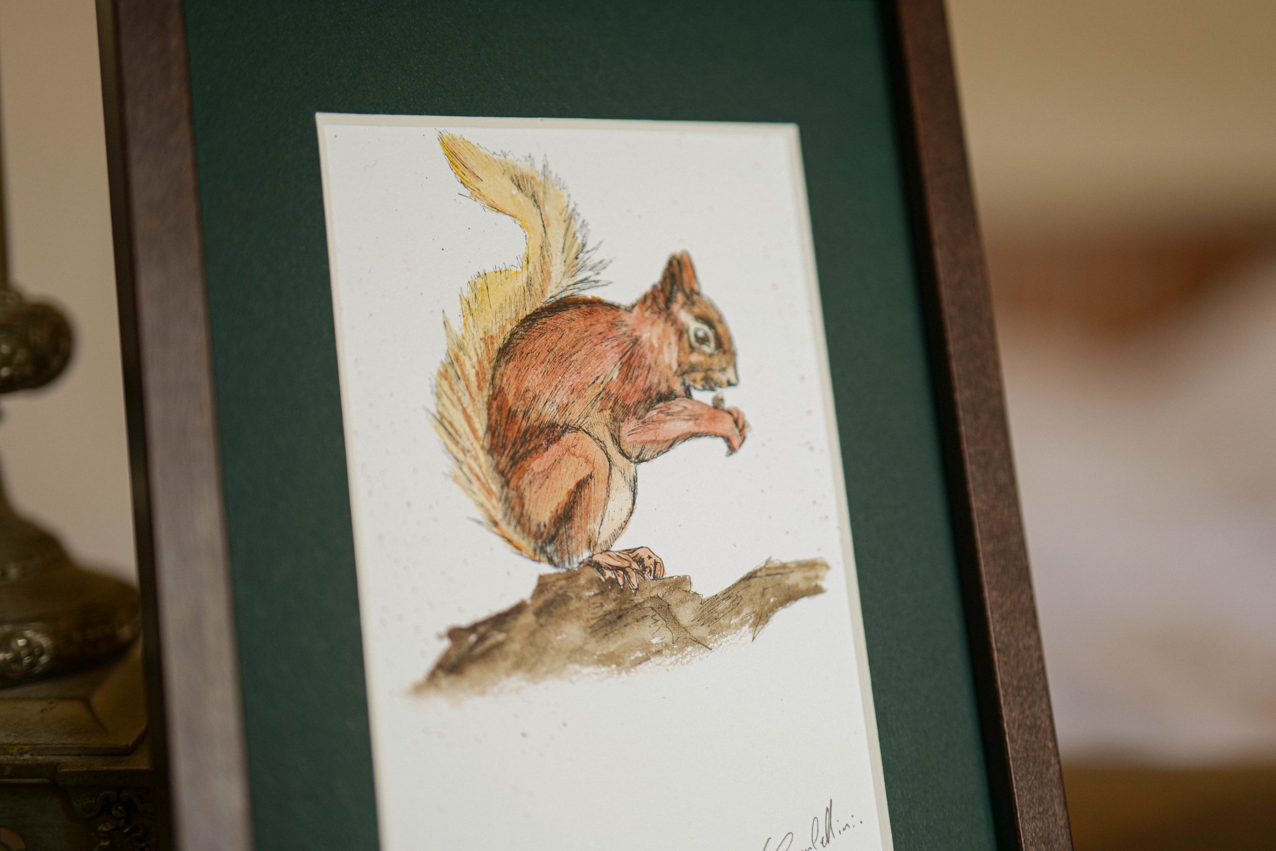 Écureuil - collection "Animaux d'automne" – Image 3