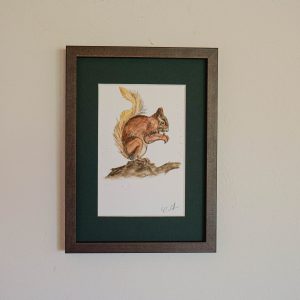 Écureuil – collection « Animaux d’automne »