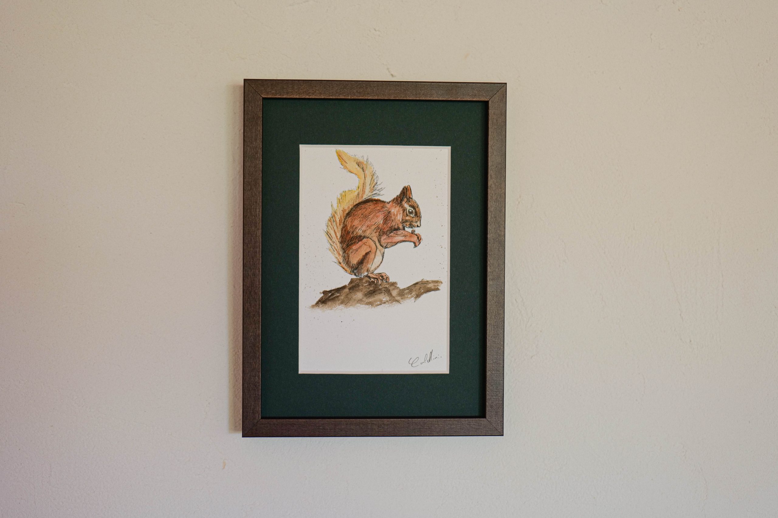 Écureuil - collection "Animaux d'automne" – Image 4