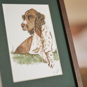 Épagneul – collection « Animaux d’automne »