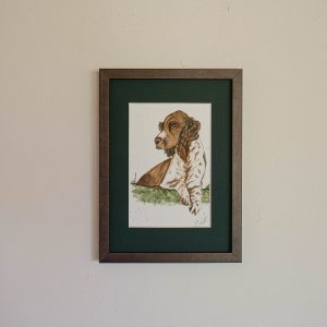 Épagneul – collection « Animaux d’automne »