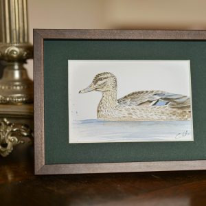 Canard – collection « Animaux d’automne »