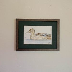 Canard – collection « Animaux d’automne »