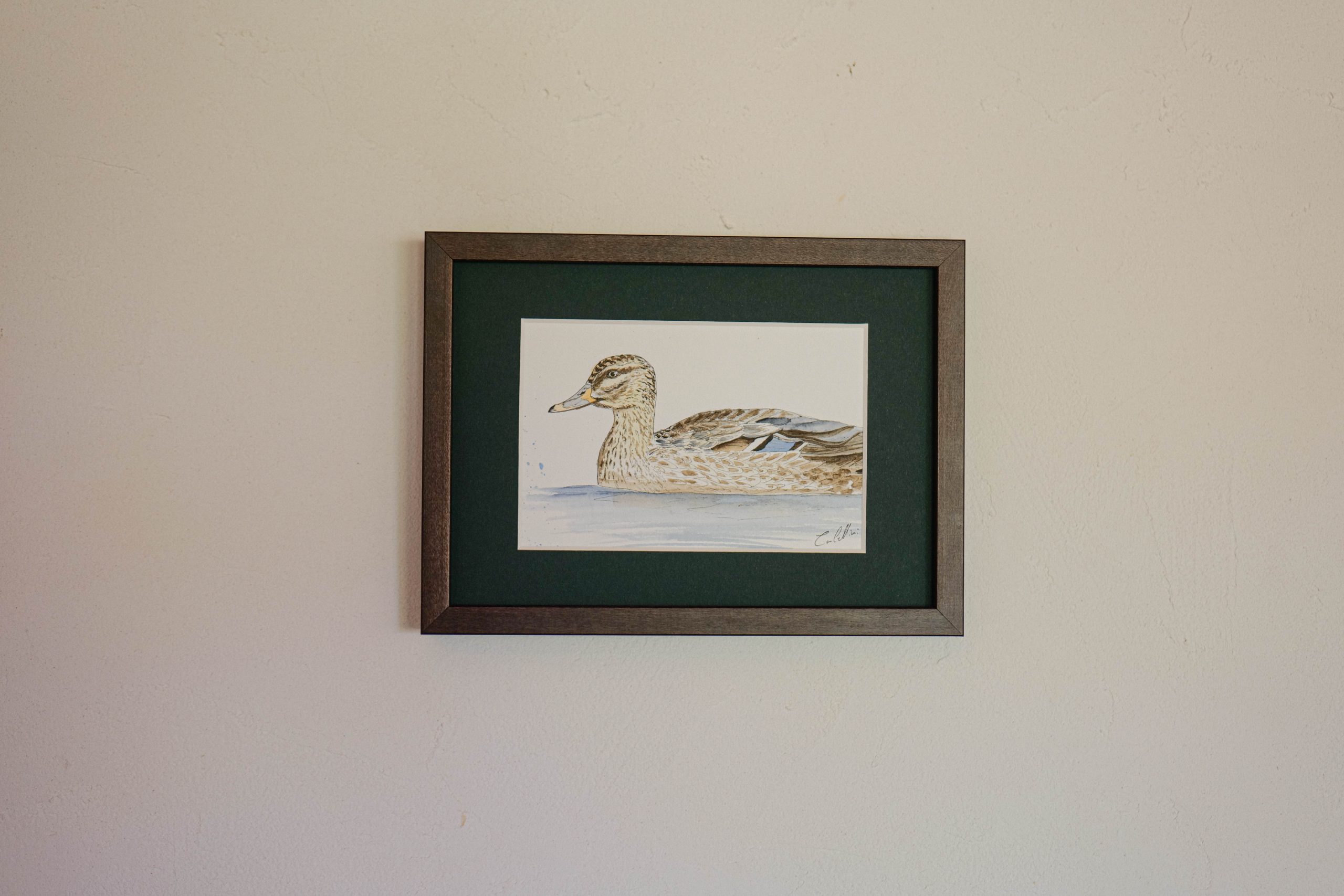 Canard - collection "Animaux d'automne" – Image 4