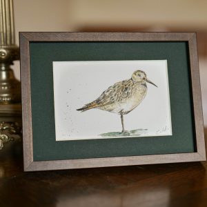 Bécasse – collection « Animaux d’automne »