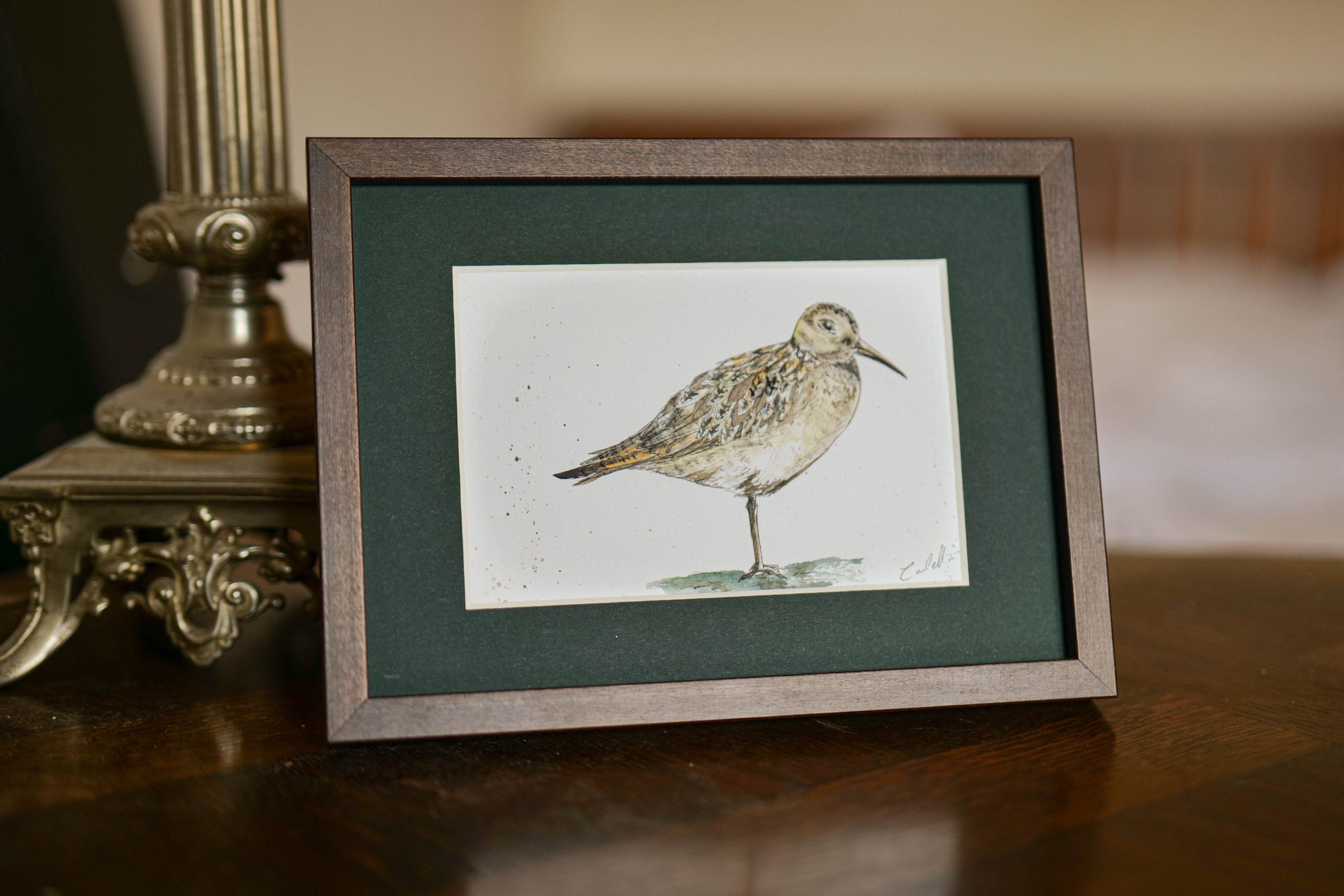 Bécasse - collection "Animaux d'automne" – Image 4