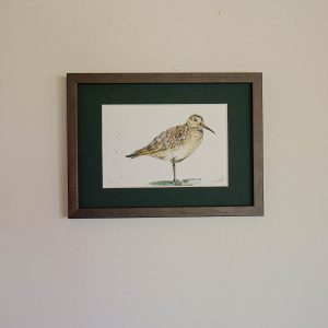 Bécasse – collection « Animaux d’automne »