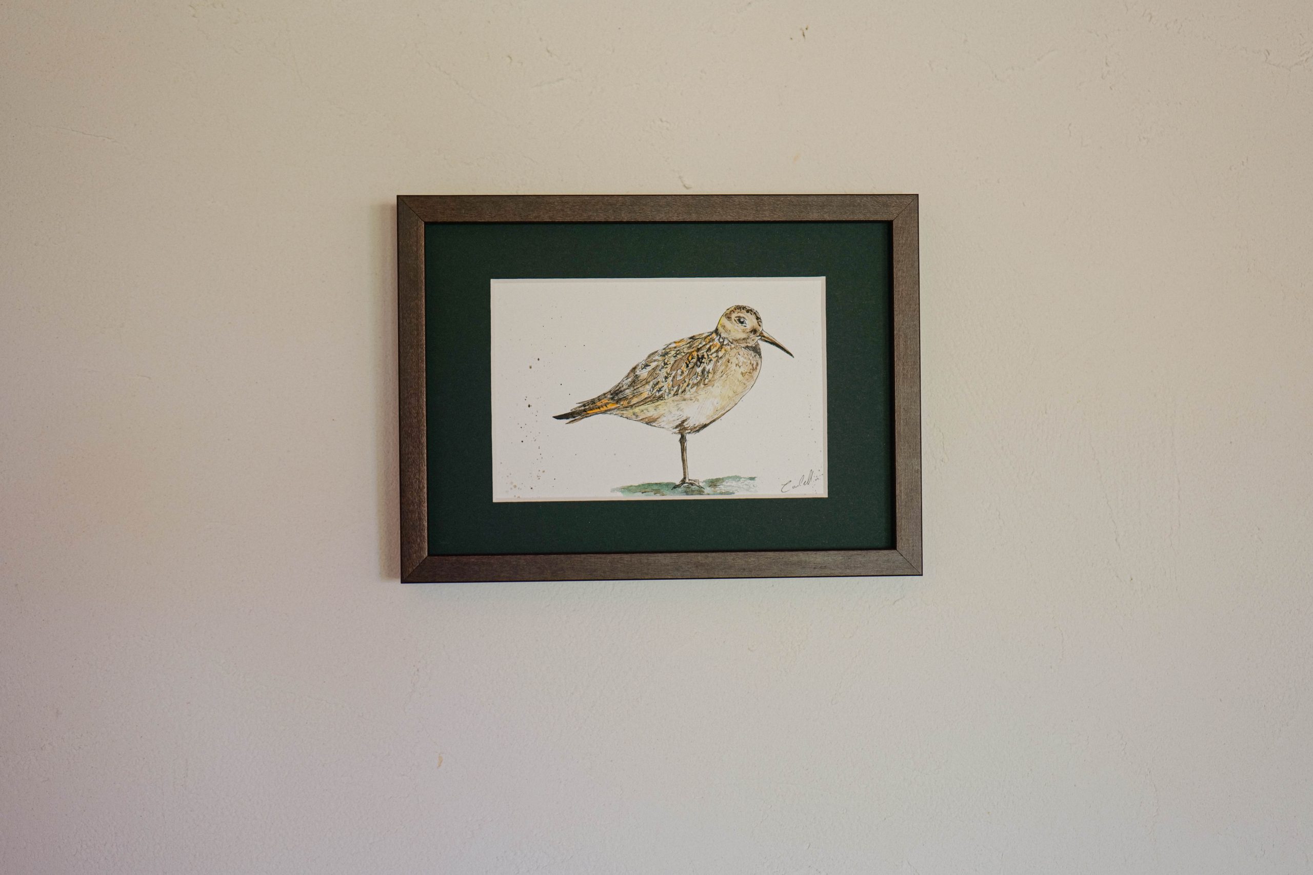 Bécasse - collection "Animaux d'automne" – Image 5